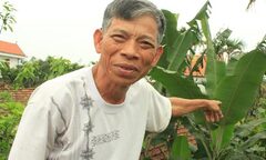 Chồng bắt vợ 56 tuổi khoả thân giữa đường để làm nhục