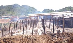 Lò gạch bùng cháy, khu làng nghề bị thiêu rụi