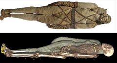 Xác định lại giới tính cho xác ướp