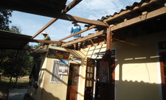 Hà Tĩnh: Lốc xoáy, kèm mưa đá khiến hàng trăm ngôi nhà bị tốc mái