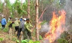 Video: Nóng gây ra 2 vụ cháy rừng liên tiếp ở Nghệ An