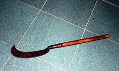 Chém người bất thành, dùng rựa chặt đứt gân tay công an