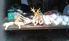 Rùng rợn “công nghệ” nhuộm gà bằng hóa chất độc hại