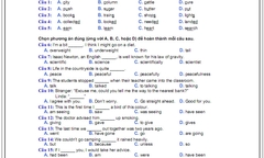 Đáp án chính thức thi tốt nghiệp THPT môn Tiếng Anh năm 2014