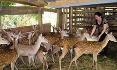 Thay đổi tư duy chăn nuôi, tạo tiền đề thành điểm sáng kinh tế