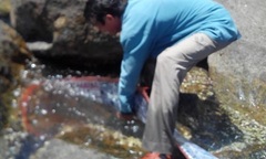 Bắt được “thủy quái” giống rồng dài 4,2m ở Đà Nẵng