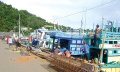 Biển Tây vẫn  "sốt " banh lông