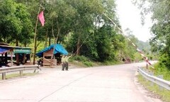 Nhóm lâm tặc táo tợn tấn công kiểm lâm, cướp gỗ