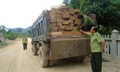 Đà Nẵng: Bắt giữ ô tô chở 61 phách gỗ lậu... đậu bên đường