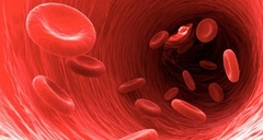 Những điều rùng rợn ít ai biết về máu