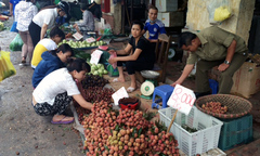 Được mùa, hoa quả rẻ ngập phố