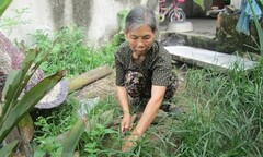 Người đàn bà 10 năm ăn cám lợn nuôi chồng tàn tật cùng 4 con ĐH 