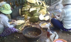 Bơm hóa chất Trung Quốc để mít non chín siêu tốc