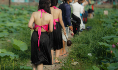 Hái ra tiền nhờ cho thuê áo yếm mùa sen