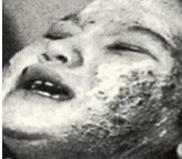 Hành trình loại bỏ hoàn toàn PCB ở VN- Kỳ 1 Sát thủ vô hình