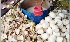 Các loại thực phẩm ngậm hóa chất- 1 cái chết đang đến dần