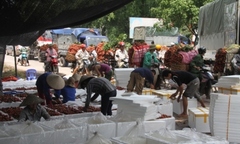 Kiếm bộn tiền nhờ “ăn theo” mùa vải