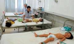 Thừa Thiên - Huế: Ngộ độc cá nóc, 1 người chết, 6 người nhập viện