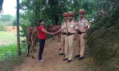 Nghệ An: Cảnh sát giao thông bắt 2 đối tượng trộm bò