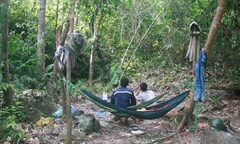 Làng quê náo động vì ươi rừng: Những cung đường săn mua sản vật