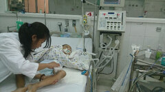 Đã xuất hiện viêm não Nhật Bản tại TP. HCM