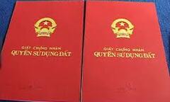 Công ty Thành Thành Công bán đấu giá quyền sử dụng đất