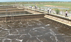 Video: Xử lí nước thải, cho ra... nước thải!