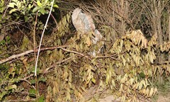 Nghi ngờ huyết thống, bé sơ sinh bị cha đẻ giết chết