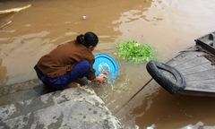 Đồng bằng sông Cửu Long (ĐBSCL): Thiếu nước ngọt mùa mưa.