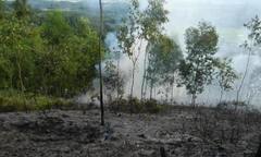 Hà Tĩnh: Cháy rừng thông ở khu di tích Ngã Ba Đồng Lộc