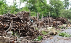 Lạ lùng nghề mót củi giữa Sài Gòn