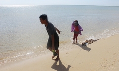 Mùa săn “thuồng luồng” biển 