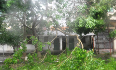 Những hình ảnh thiệt hại đầu tiên tại Móng Cái do bão Thần Sấm