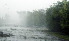 TP Móng Cái ngổn ngang khi bão Thần Sấm đi qua