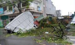 Cảnh tan hoang sau bão Thần Sấm