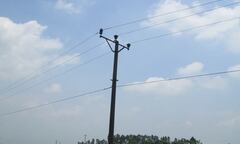 Dây điện chùng xuống ruộng, một nông dân tử vong