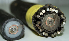 Ngày 30/7: Truy cập Internet qua cáp quang AAG được khôi phục