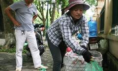 Mùa sấu, chủ “thầu” kiếm 5 triệu đồng/ngày