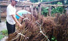 Thêm vụ cán bộ xã ăn chặn tiền hỗ trợ gây xôn xao dư luận