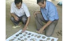 Phát hiện 24 di tích khảo cổ thời tiền sử tại Gia Lai