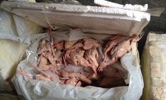 3 giờ đồng hồ, phát hiện liên tiếp 2 vụ nhập lậu gia cầm