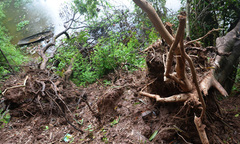 Dân sống trong lo sợ vì sạt lở ven sông Đáy ngày càng sâu