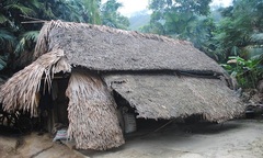 Ước mơ có ngôi nhà tránh mưa nắng của đôi vợ chồng già