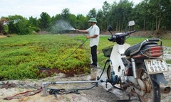 Độc đáo máy bơm nước bằng… xe máy ở vùng đất cát