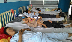 Uống tiết trăn pha rượu, 7 người trong gia đình nhập viện