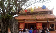 Cây bồ đề 3 thân được công nhận là Cây di sản Việt Nam