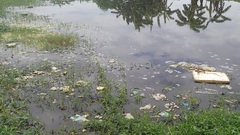 Dân ngạt thở vì lò giết mổ tập trung Bắc Sông Hương gây ô nhiễm