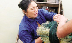 Chuyện về vũng hút xác người trên sông Lam