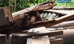 Chỉ sau một cơn gió nhẹ, căn nhà bị đổ sụp