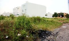 Đi tâm sự ở bãi đất trống, phát hiện xác chết bị cắt cổ